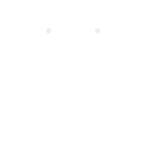 rubber duck icon